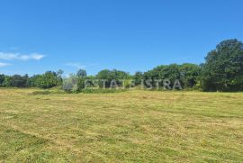 Cokuni, Marčana - mješovito građevinsko zemljište 7664 m2, Marčana, Tierra