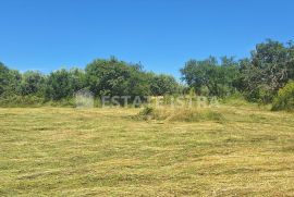 Cokuni, Marčana - mješovito građevinsko zemljište 7664 m2, Marčana, Tierra