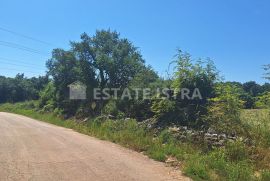 Cokuni, Marčana - mješovito građevinsko zemljište 7664 m2, Marčana, Tierra