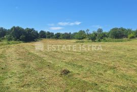 Cokuni, Marčana - mješovito građevinsko zemljište 7664 m2, Marčana, Tierra