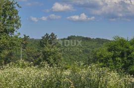 ISTRA, TINJAN - Građevinsko zemljište pogodno za naselje od 6 vila, Tinjan, Terrain