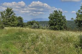 ISTRA, TINJAN - Građevinsko zemljište pogodno za naselje od 6 vila, Tinjan, Terrain