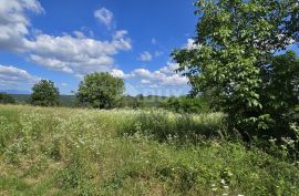 ISTRA, TINJAN - Građevinsko zemljište pogodno za naselje od 6 vila, Tinjan, Terrain