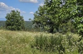 ISTRA, TINJAN - Građevinsko zemljište pogodno za naselje od 6 vila, Tinjan, Terrain