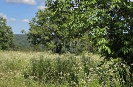 ISTRA, TINJAN - Građevinsko zemljište pogodno za naselje od 6 vila, Tinjan, Terrain