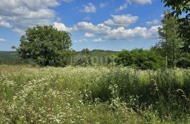 ISTRA, TINJAN - Građevinsko zemljište površine 1187 m2, Tinjan, Terreno