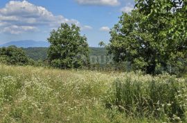 ISTRA, TINJAN - Građevinsko zemljište površine 1187 m2, Tinjan, Terreno