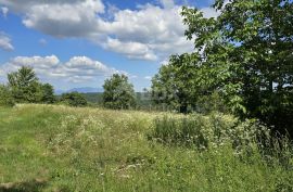 ISTRA, TINJAN - Građevinsko zemljište površine 1187 m2, Tinjan, Terreno