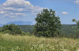 ISTRA, TINJAN - Građevinsko zemljište površine 1187 m2, Tinjan, Terreno