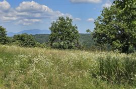 ISTRA, TINJAN - Građevinsko zemljište površine 1187 m2, Tinjan, Terreno