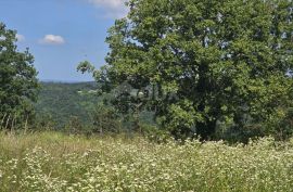 ISTRA, TINJAN - Građevinsko zemljište 2 km od Tinjana, Tinjan, Land