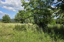 ISTRA, TINJAN - Građevinsko zemljište 2 km od Tinjana, Tinjan, Land