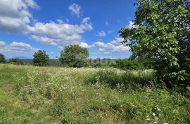 ISTRA, TINJAN - Građevinsko zemljište 2 km od Tinjana, Tinjan, Land