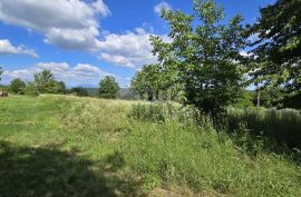 ISTRA, TINJAN - Građevinsko zemljište 2 km od Tinjana, Tinjan, Land