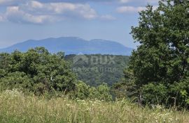 ISTRA, TINJAN - Građevinsko zemljište 2 km od Tinjana, Tinjan, Land