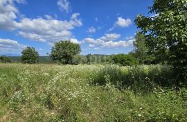 ISTRA, TINJAN - Građevinsko zemljište od 1398 m2, Tinjan, Terrain