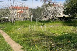 Momjan, konoba sa bazenom i kućama za odmor, Buje, Haus