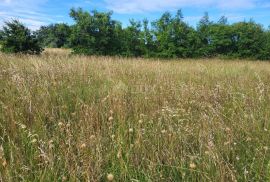 ISTRA, MARČANA - Prostrano zemljište na rubu građevinske zone, Marčana, Terreno