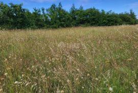 ISTRA, MARČANA - Prostrano zemljište na rubu građevinske zone, Marčana, Terreno