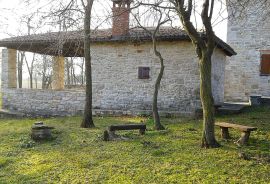 BUJE - POSJED IDEALAN ZA HOTEL ILI AGROTURIZAM, Umag, House