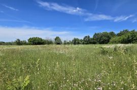 ISTRA, SVETVINČENAT - Kompleks zemljišta od 4522 m2, Svetvinčenat, Земля