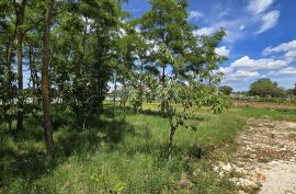 ISTRA, KANFANAR- Prekrasna građevinska parcela, Kanfanar, Terrain