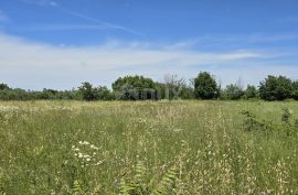 ISTRA, SVETVINČENAT - Građevinsko zemljište s dodatnim poljoprivrednim dijelom, Svetvinčenat, Tierra