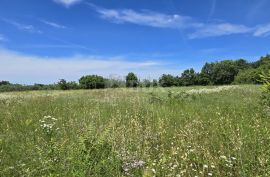 ISTRA, SVETVINČENAT - Građevinsko zemljište na top poziciji, zadnje u zoni gradnje, Svetvinčenat, Zemljište