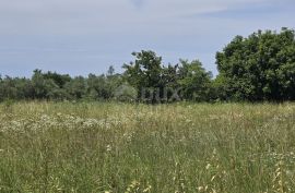 ISTRA, SVETVINČENAT - Građevinsko zemljište na top poziciji, zadnje u zoni gradnje, Svetvinčenat, Zemljište