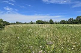 ISTRA, SVETVINČENAT - Građevinsko zemljište na top poziciji, zadnje u zoni gradnje, Svetvinčenat, Zemljište