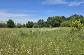 ISTRA, SVETVINČENAT - Građevinsko zemljište na top poziciji, zadnje u zoni gradnje, Svetvinčenat, Zemljište