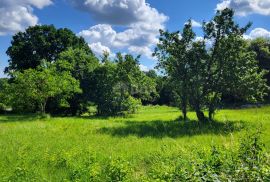 ISTRA, BRTONIGLA - Prostrano građevinsko zemljište, Brtonigla, Terra