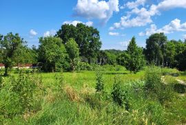 ISTRA, BRTONIGLA - Prostrano građevinsko zemljište, Brtonigla, Land