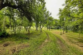 OTOČAC - Glavace - seosko gospodarstvo, 2 kuće i zemljište 40.000 m2, Otočac, Famiglia