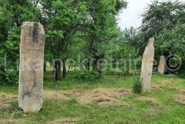 OTOČAC - Glavace - seosko gospodarstvo, 2 kuće i zemljište 40.000 m2, Otočac, Famiglia