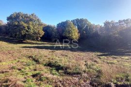 ZEMLJIŠTE U MALOM NASELJU 3.5 km OD MORA, Barban, Terrain