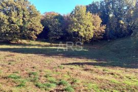 ZEMLJIŠTE U MALOM NASELJU 3.5 km OD MORA, Barban, Land