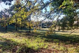 ZEMLJIŠTE U MALOM NASELJU 3.5 km OD MORA, Barban, Land