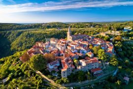 Istra okolica Novigrada luksuzna vila sa bazenom, Grožnjan, Kuća