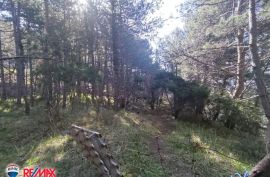 ISTRA,LABIN, OKOLICA, 2,8 HA, Kršan, Земля