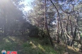 ISTRA,LABIN, OKOLICA, 2,8 HA, Kršan, Земля