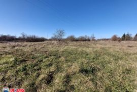 ISTRA, ŠUMBER, GRAĐEVINSKO ZEMLJIŠTE SA OTVORENIM POGLEDOM, Sveta Nedelja, Arazi