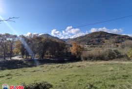 ISTRA, IMANJE SA 11200 M2 OKUĆNICE, SREDIŠNJA ISTRA, Labin, Casa