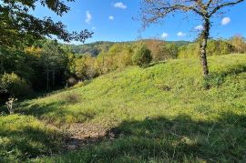 ISTRA, BOLJUN, KUĆA OKRUŽENA SA 4Ha POLJ.ZEMLJIŠTA, Lupoglav, Casa