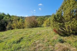 ISTRA, BOLJUN, KUĆA OKRUŽENA SA 4Ha POLJ.ZEMLJIŠTA, Lupoglav, Casa