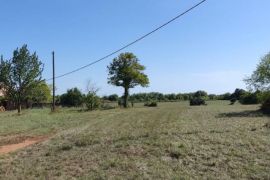 ISTRA,BARBAN,OKOLICA ZEMLJIŠTE GRAĐEVINSKO I POLJOPRIVREDNO, Barban, Terra