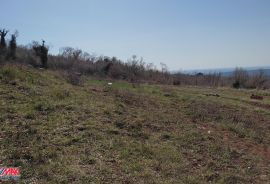 ISTRA, POLJE - KOROMAČNO, POLJOPRIVREDNO ZEMLJIŠTE SA POGLEDOM NA MORE, Raša, Arazi