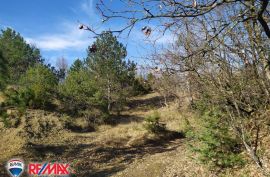 ISTRA, LESIŠĆINA, VELIKO POLJOPRIVREDNO ZEMLJIŠTE, Lupoglav, Arazi