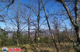 ISTRA, LESIŠĆINA, VELIKO POLJOPRIVREDNO ZEMLJIŠTE, Lupoglav, Arazi