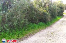 ISTRA, PUNTIŽELA, GRAĐEVINSKO ZEMLJIŠTE 100 M OD MORA, Fažana, أرض